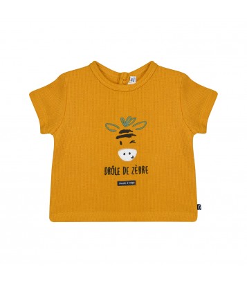  Sucre Orge