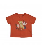 TSHIRT BERMUDA NESTOR Sucre Orge