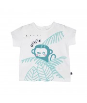 TSHIRT BERMUDA OLIVIER Sucre Orge