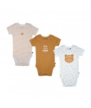LOT DE 3 BODIES ODILON Sucre Orge