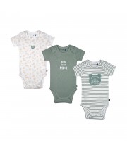 LOT DE 3 BODIES OMAR Sucre Orge