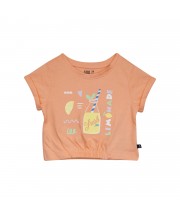 TSHIRT NORBERTE Sucre Orge