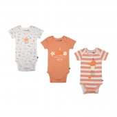 SET OF 3 BODIES LAELIE