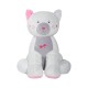 RANGE PYJAMA CHAT Sucre Orge